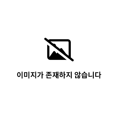 서울 동작구 사당동 419-52 (태영힐하우스) 보증보험, 대출, 주차 , 반려동물 가능. 1.5룸. 깔끔 전세 매물번호 11701 사진 2